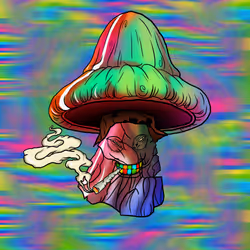 37
