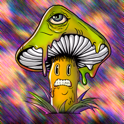 519