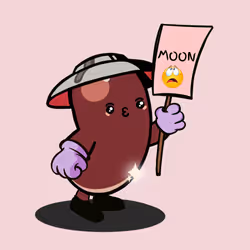3038