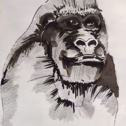 Gorilla