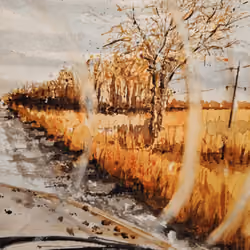 Ukraine war - Crossing war fields