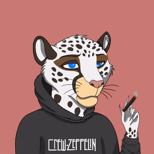 Coalitioncrew