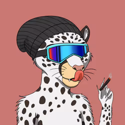 Coalition Crew #62