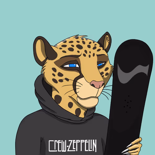 Coalitioncrew