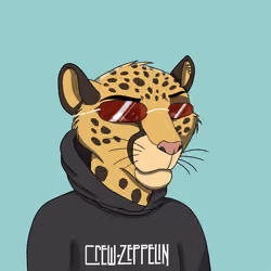 Coalition Crew #75