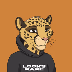Coalition Crew #191