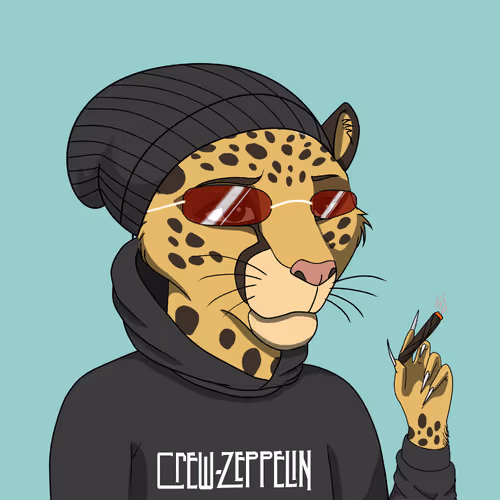 Coalitioncrew
