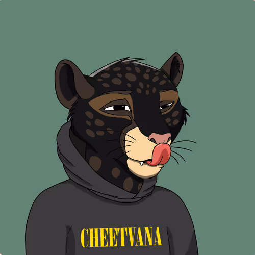 Coalition Crew #963