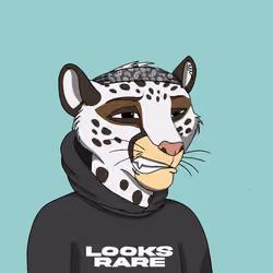 Coalition Crew #158