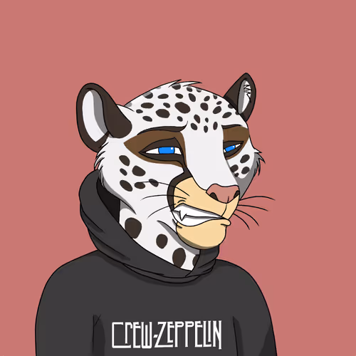Coalitioncrew