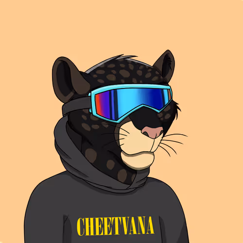 Coalitioncrew