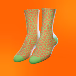 Reptile Socks 🦎