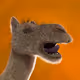 27574471100077718456327828331970077255830363178407672018802072164495664349202