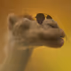 27574471100077718456327828331970077255830363178407672018802072164495664349204