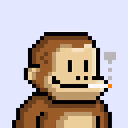 KONG #8157