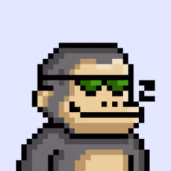 KONG #9009