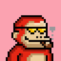 KONG #8935