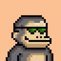 KONG #1641