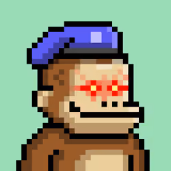 KONG #3798