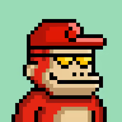KONG #4500
