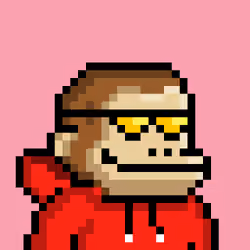 KONG #4023