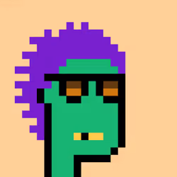 0xKevinPunks #578