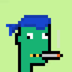 0xKevinPunks #1370