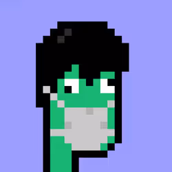 0xKevinPunks #3066