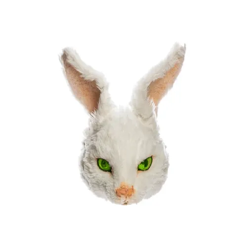 Fr2 The First Mask Straym