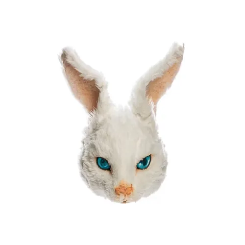 Fr2 The First Mask Straym