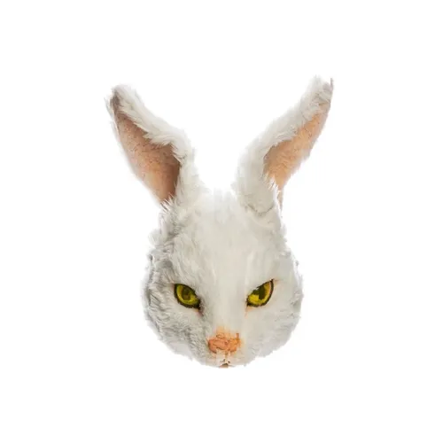 Fr2 The First Mask Straym