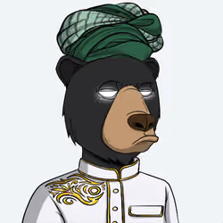 The Saudi Okay Bears #2141