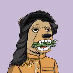 The Saudi Okay Bears #1066