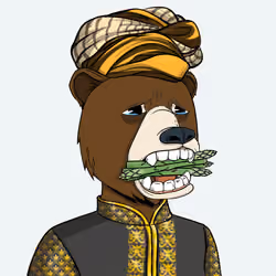 The Saudi Okay Bears #1517