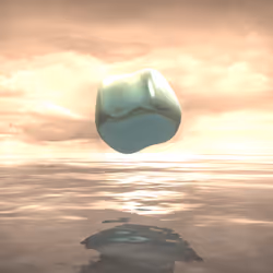 #329