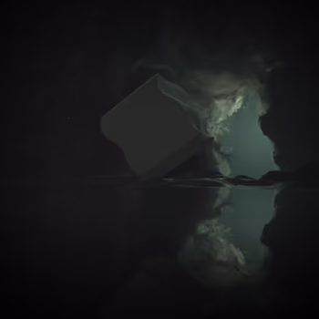 #568