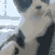94