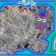 64