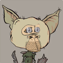 2428