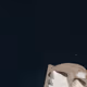 127