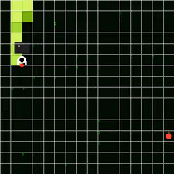 Onchain Snake #2896