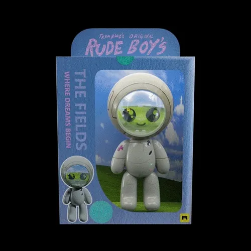 17 THE FIELDS (RUDE BOY'S)