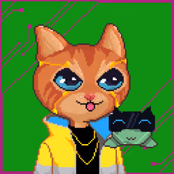 Meowki Genesis #581
