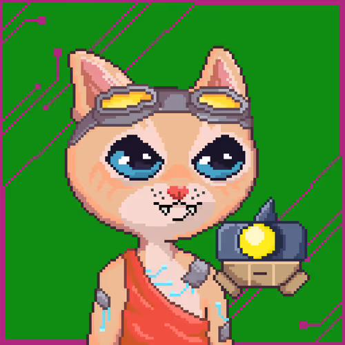 Meowki Genesis
