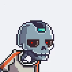 BONEZUKI #1227