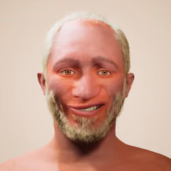 4033