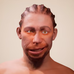 8558