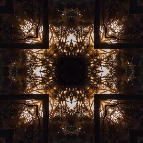 Photography - zBeoiSgy4A