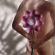 ✿ bibi flowers ✿