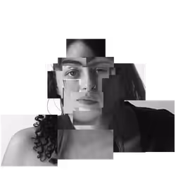 Item Media